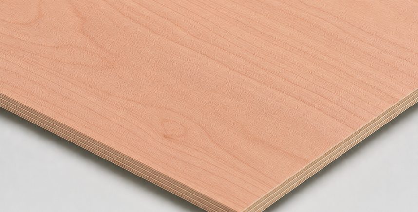 Alnus veneer board