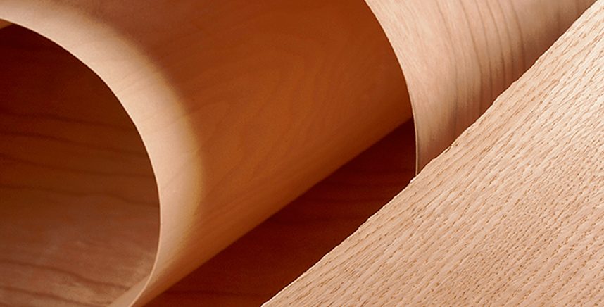 Peeled birch face veneer in rolls