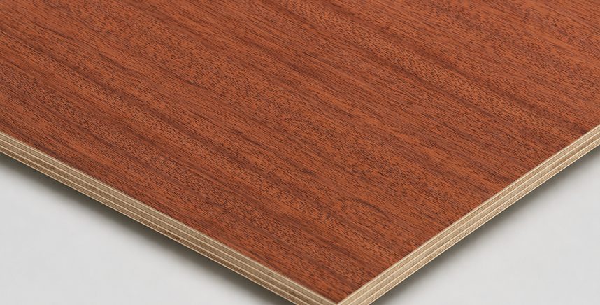 Indian mahogany veneer board
